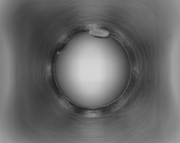 X0000113170556200909040936