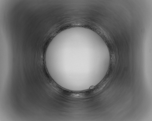 X0000113170557200909040936