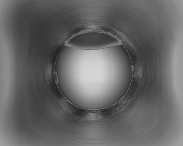 X0000113170560200909040936