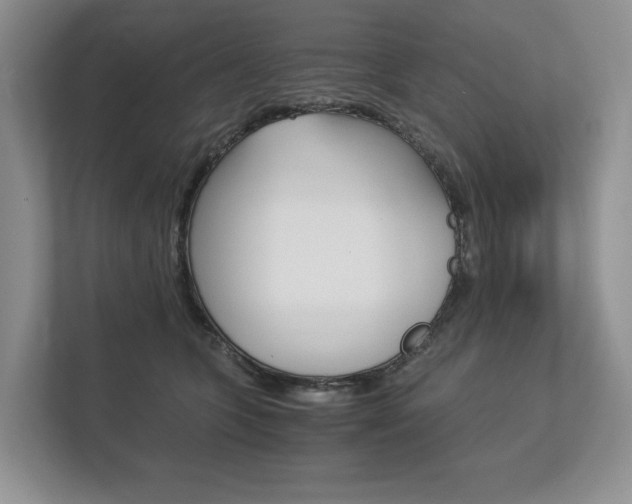 X0000113170563200909040936