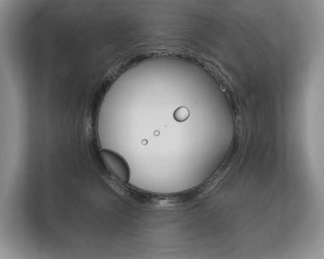 X0000113170564200909040936