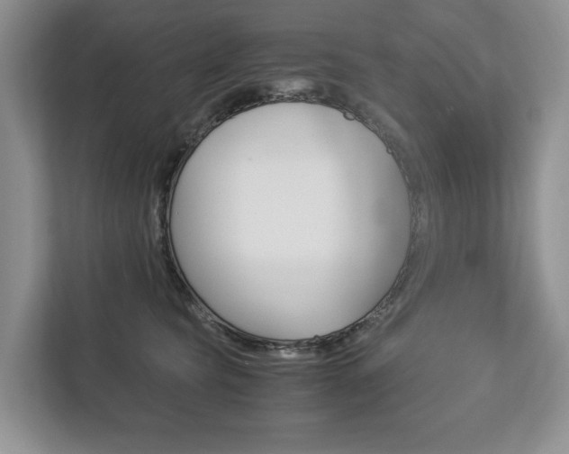X0000113170565200909040936