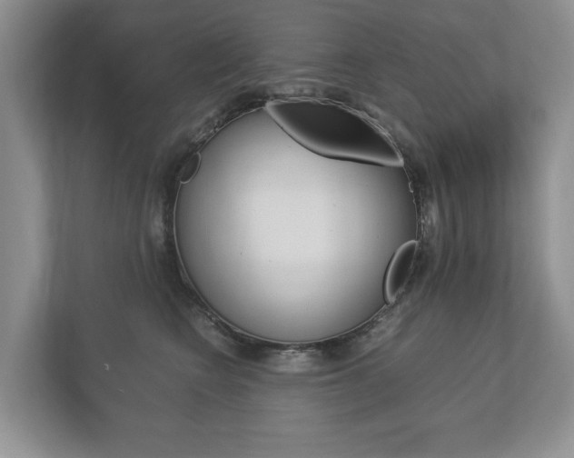 X0000113170566200909040936