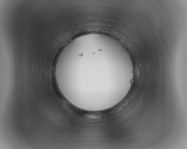 X0000113170567200909040936
