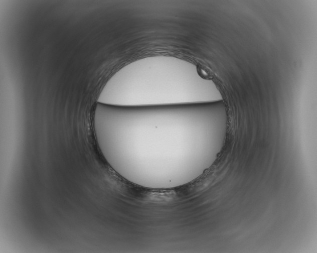 X0000113170571200909040936