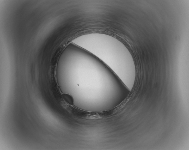 X0000113170572200909040936