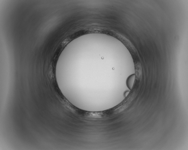 X0000113170573200909040936