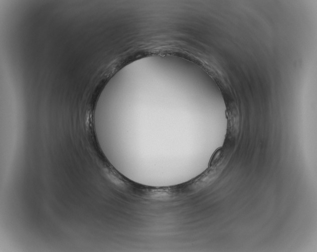 X0000113170574200909040936