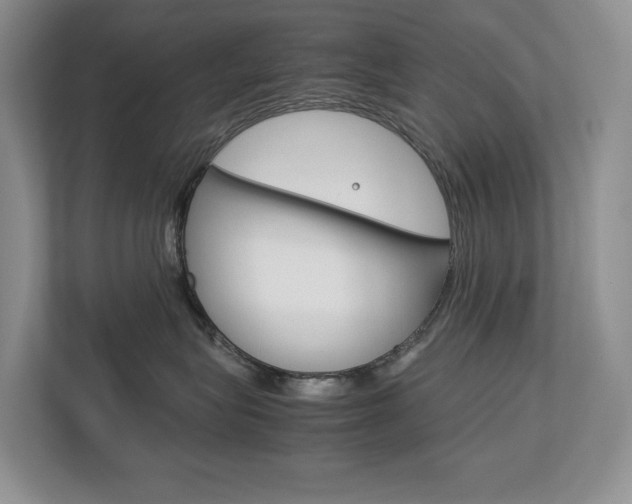 X0000113170575200909040936