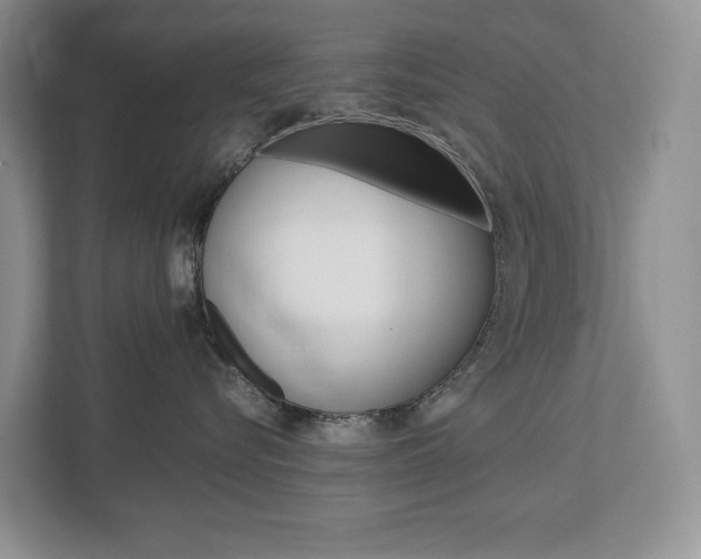 X0000113170576200909040936