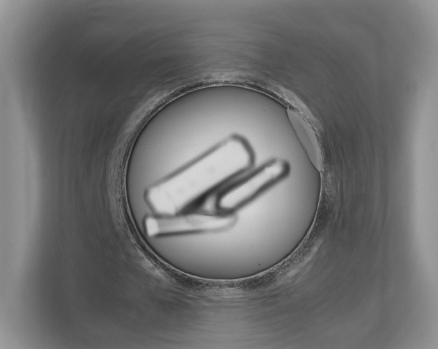 X0000113170577200909040936