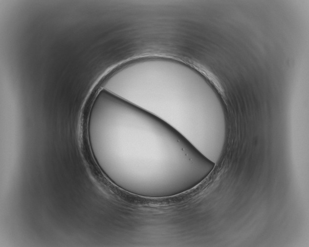 X0000113170580200909040936
