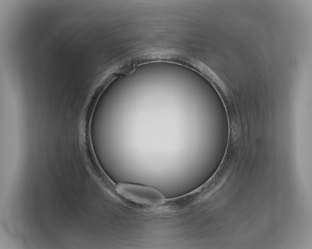 X0000113170581200909040936