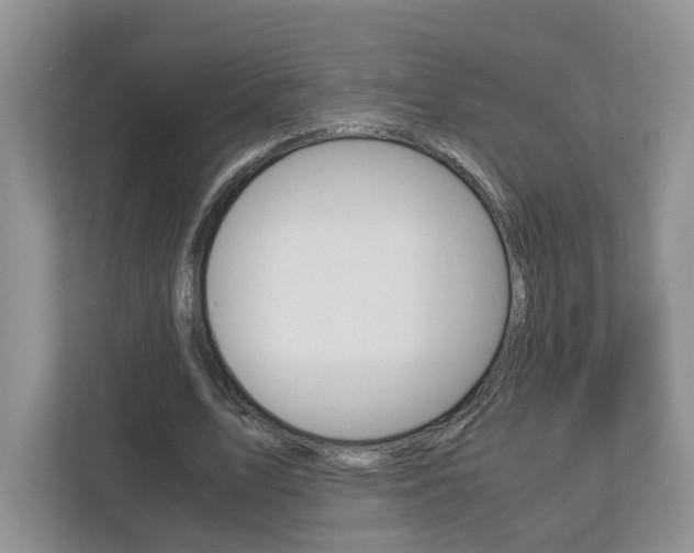 X0000113170583200909040936