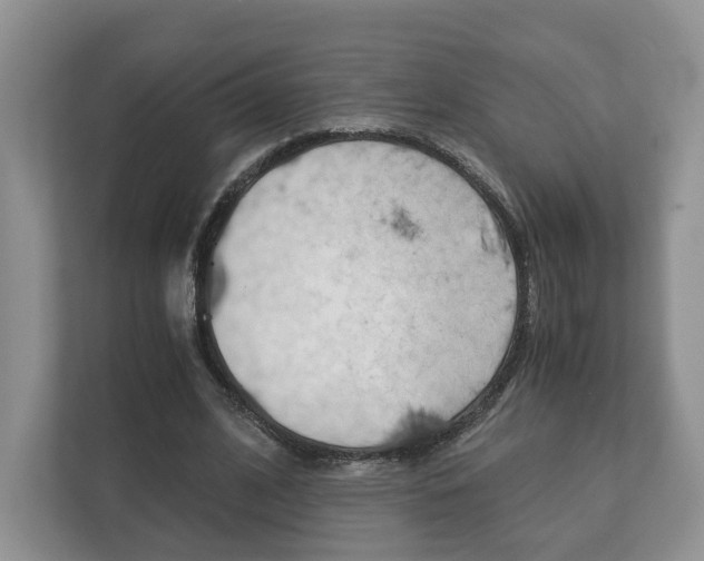 X0000113170584200909040936