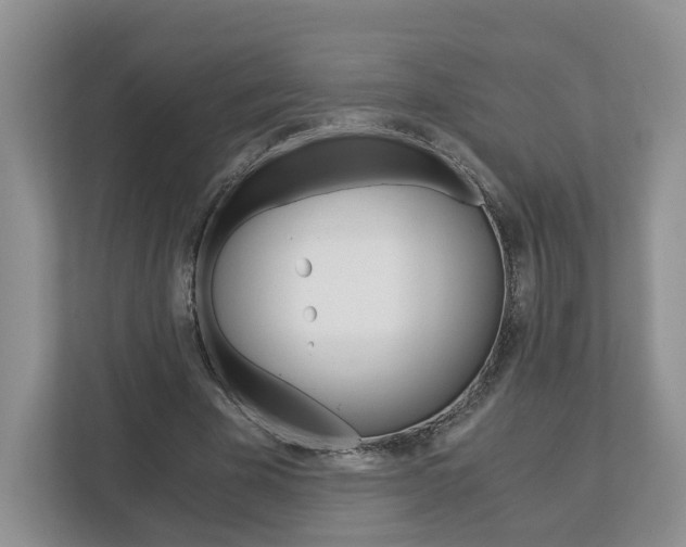 X0000113170585200909040936