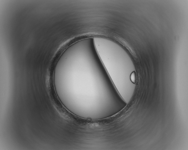 X0000113170588200909040935