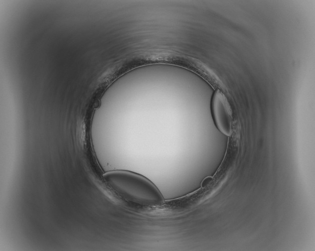 X0000113170589200909040935