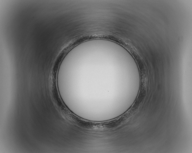 X0000113170591200909040935