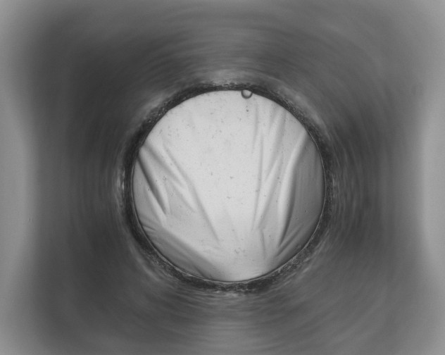 X0000113170592200909040935