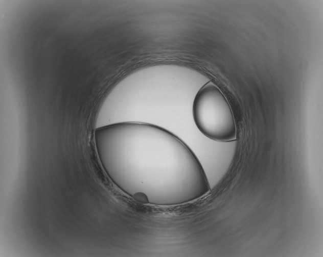 X0000113170593200909040935