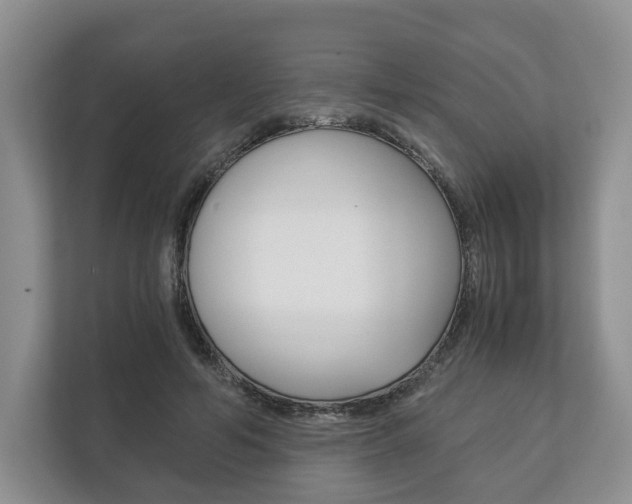 X0000113170594200909040935