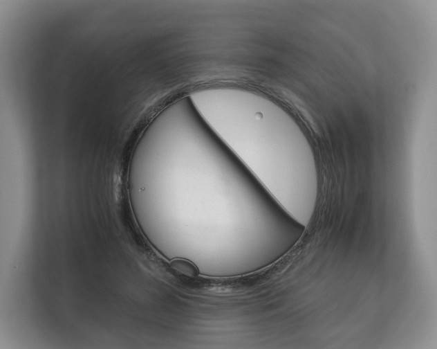 X0000113170596200909040935