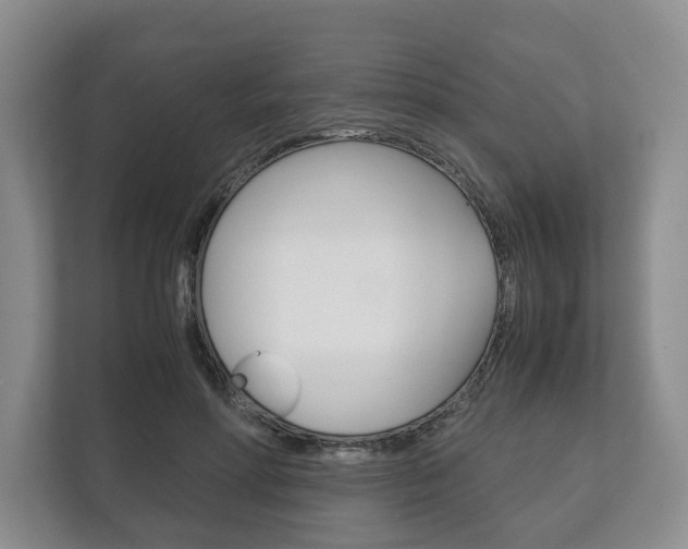 X0000113170598200909040935