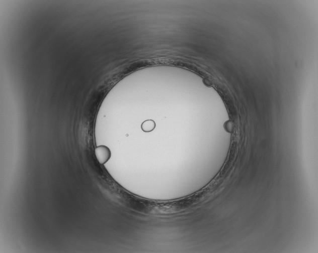 X0000113170599200909040935