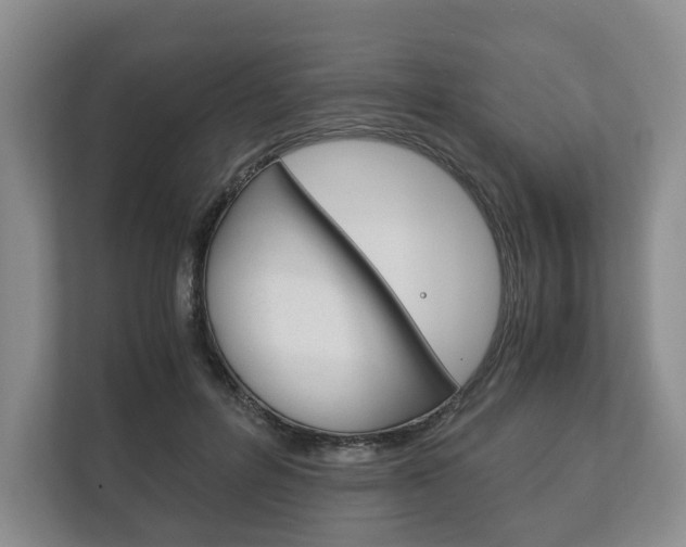 X0000113170600200909040935