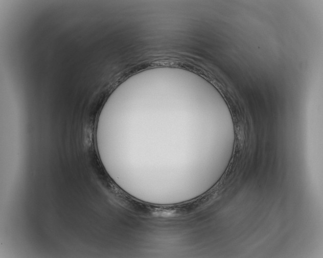 X0000113170602200909040935