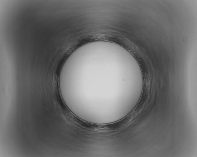 X0000113170603200909040935