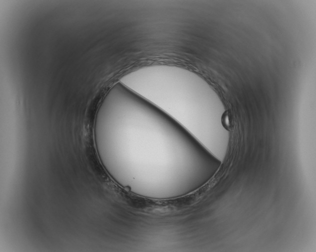 X0000113170608200909040935