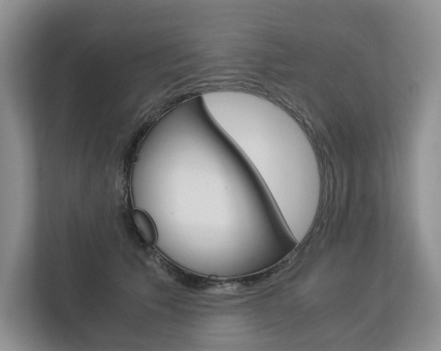 X0000113170609200909040935