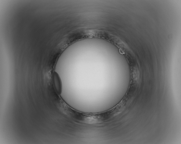X0000113170611200909040935