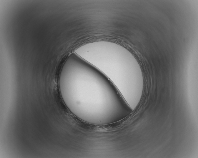 X0000113170613200909040935