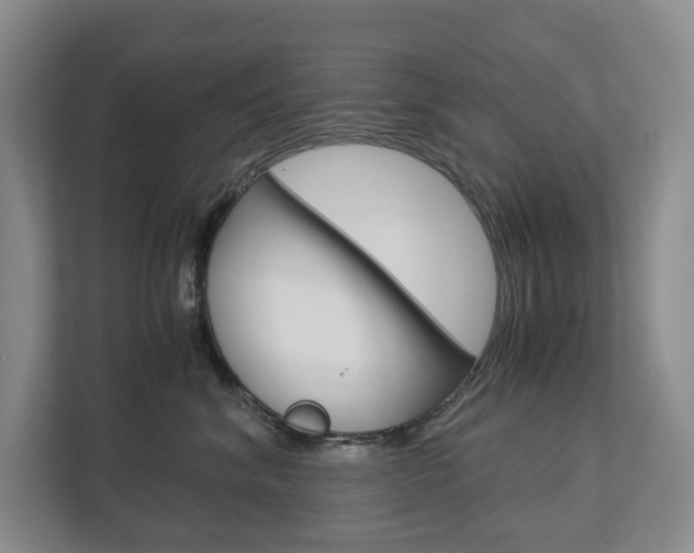 X0000113170620200909040935
