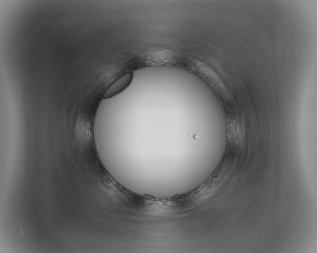 X0000113170621200909040935