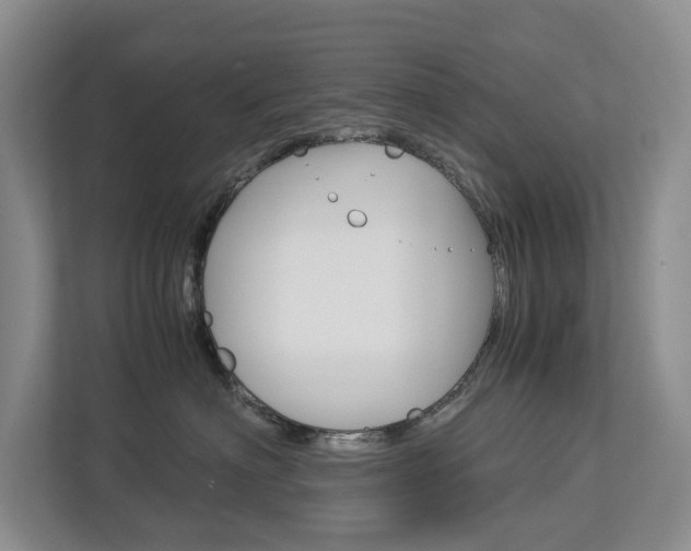 X0000113170622200909040935