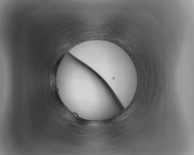 X0000113170624200909040935