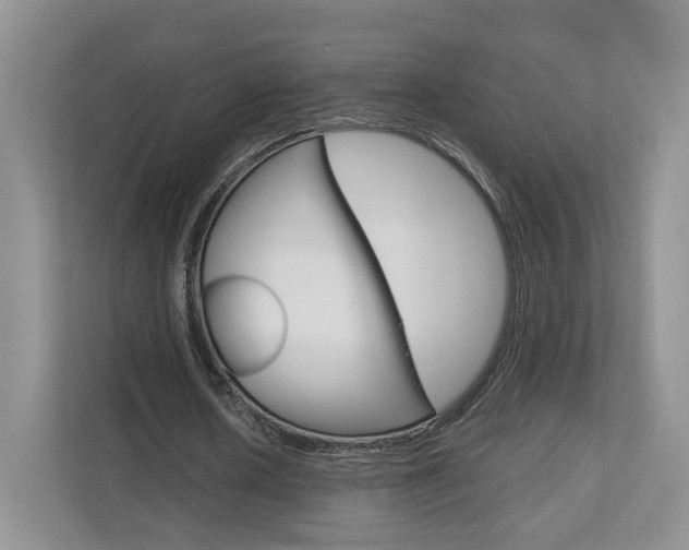 X0000113170626200909040934