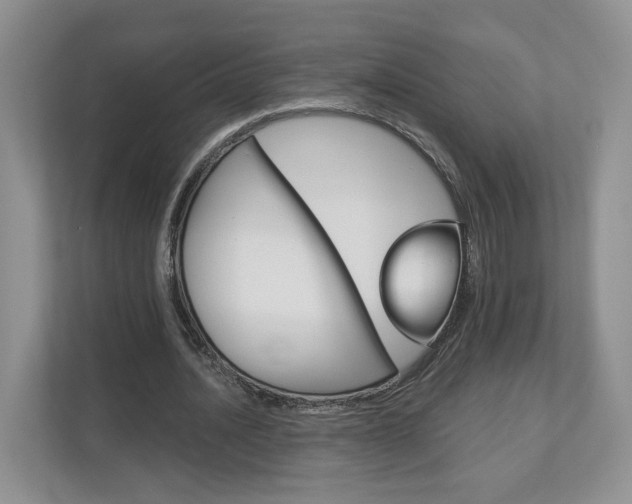 X0000113170628200909040934