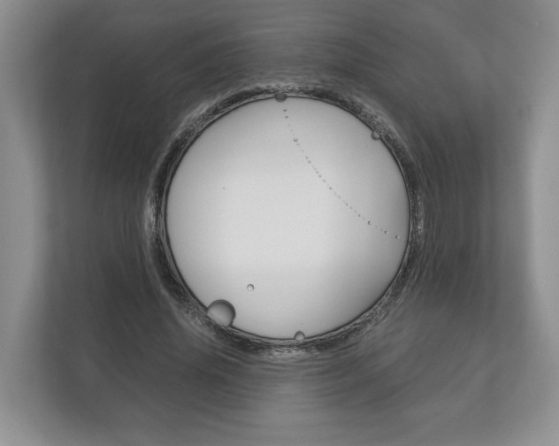 X0000113170636200909040935