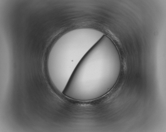 X0000113170637200909040935