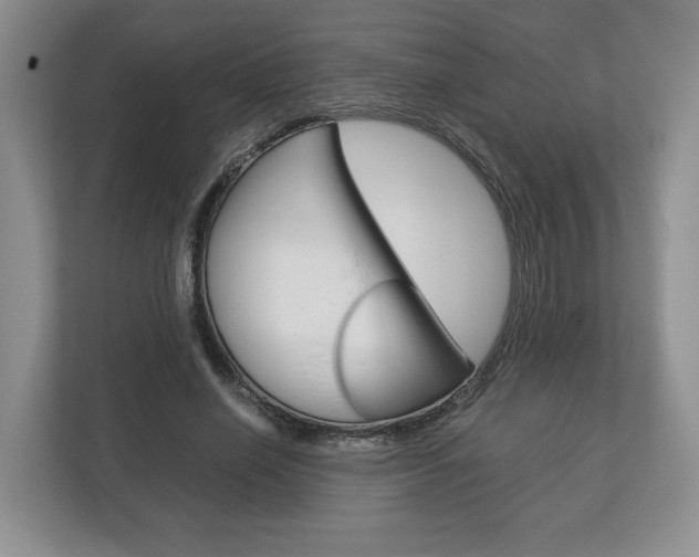 X0000113170638200909040935