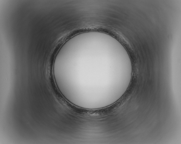 X0000113170640200909040935