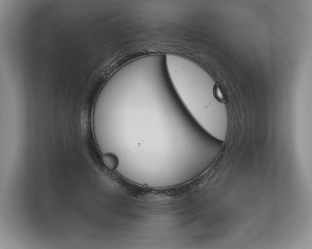 X0000113170648200909040935