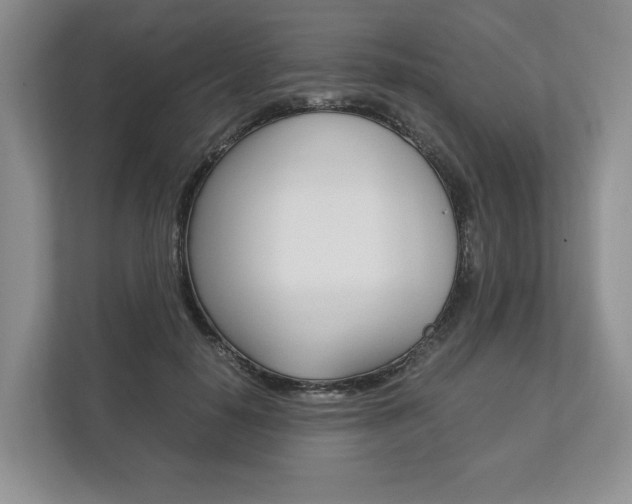 X0000113170650200909040935