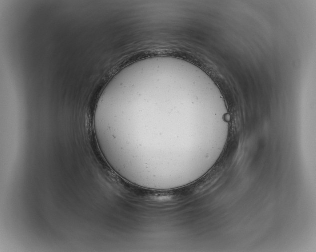 X0000113170651200909040935