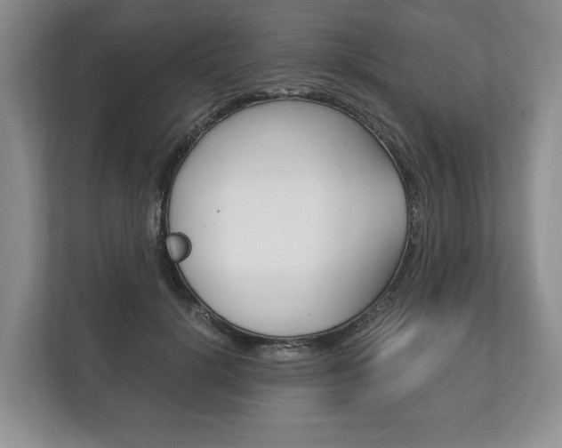 X0000113170652200909040935